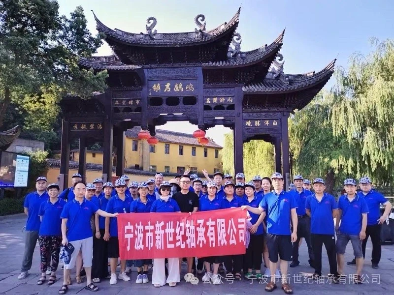 Ningbo   Νέος   Αιώνας   Ρουλεμάν   Καλοκαίρι   Ράφτινγκ   Ομάδα   Κτίριο